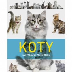 Koty. Ilustrowany przewodnik