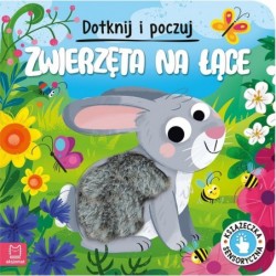 Zwierzęta na łące. Dotknij...