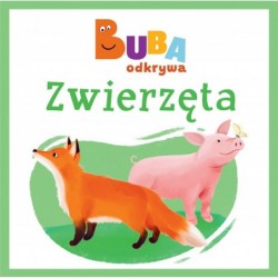 Zwierzęta