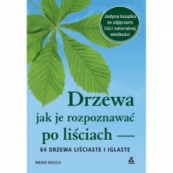 Drzewa – jak je rozpoznawać...