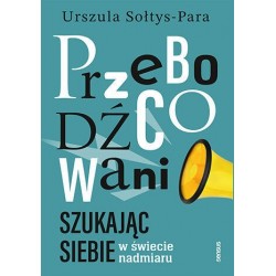 Przebodźcowani. Szukając...