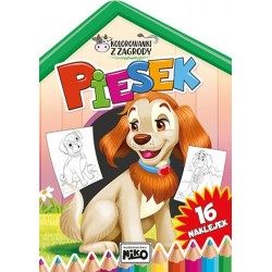Piesek. Kolorowanki z zagrody