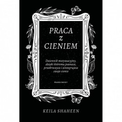 Praca z cieniem. Dziennik...