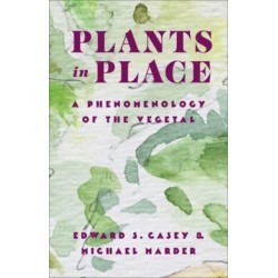 Plants in Place: A...