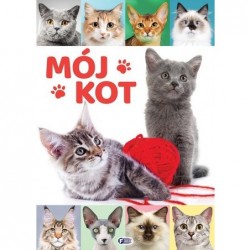Mój kot