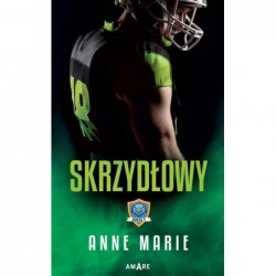 Skrzydłowy. Seria Sokoły....