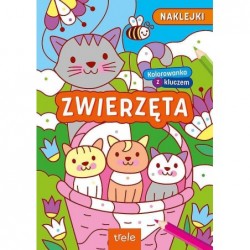 Kolorowanki z kluczem....