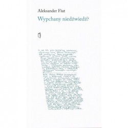 Wypchany niedźwiedź?