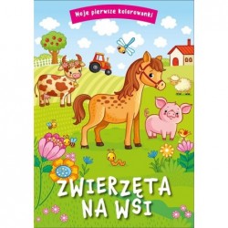 Moje pierwsze kolorowanki....