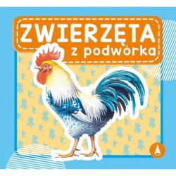 Zwierzęta z podwórka