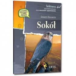 Sokół (lektura z opracowaniem)