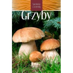 Grzyby. Spotkania z przyrodą