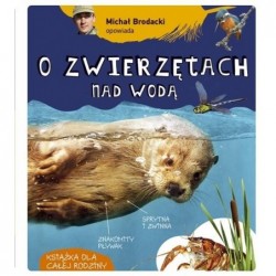 Michał Brodacki opowiada o...