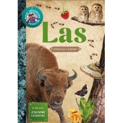 Młody Obserwator Przyrody. Las