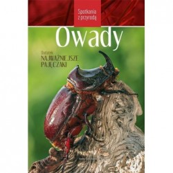 Spotkania z przyrodą. Owady
