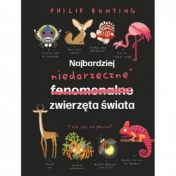 Najbardziej niedorzeczne...