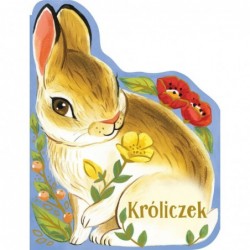 Kroliczek