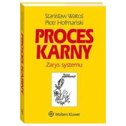 Proces karny. Zarys systemu