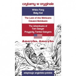 Ameryka, Ameryka. Czytamy w...