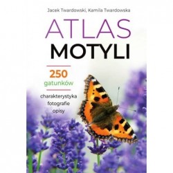 Atlas motyli