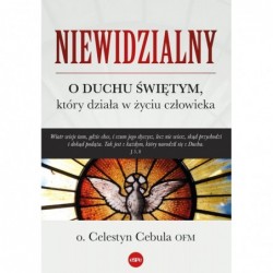 Niewidzialny. O Duchu...