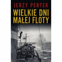 Wielkie dni małej floty