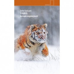 Tygrys. Na tropie...