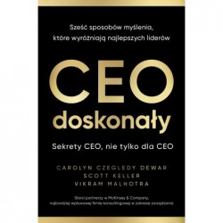 CEO doskonały. Sześć...