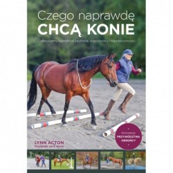 Czego naprawdę chcą konie....