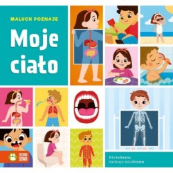 Maluch poznaje. Moje ciało