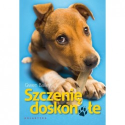 Szczenię doskonałe