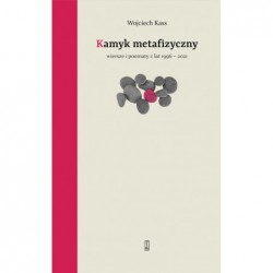 Kamyk metafizyczny