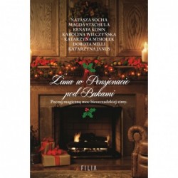 Zima w Pensjonacie pod Bukami