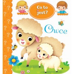 Co to jest? Owce