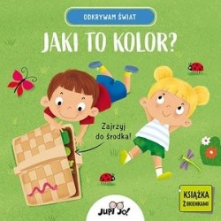 Jaki to kolor? Odkrywam świat