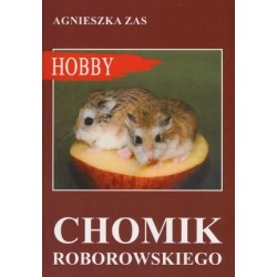 Chomik Roborowskiego