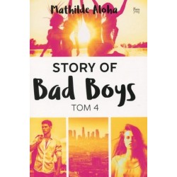 Story of Bad Boys. Tom 4