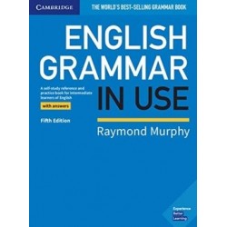 English Grammar in Use Book...