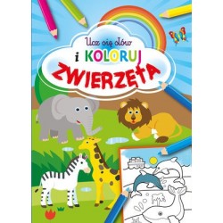 Ucz się słów i koloruj...