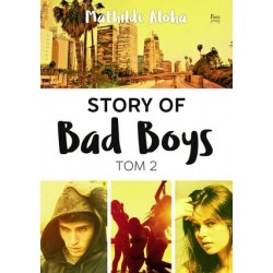 Story of Bad Boys. Tom 2