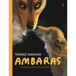 Ambaras