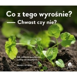 Co z tego wyrośnie? -...