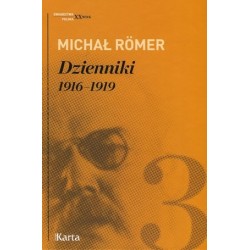 Dzienniki 1916-1919. Tom 3