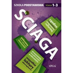 Ściąga Język polski Szkoła...