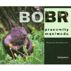 Bóbr pracowity mąciwoda