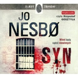 Syn (książka audio)
