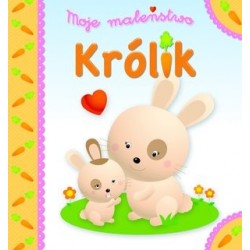 Moje maleństwo Królik