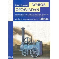 Wybór opowiadań Stefan...