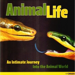 Animal life. An Intimate...