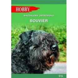 Bouvier